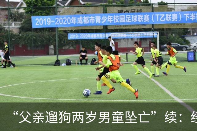 “父亲遛狗两岁男童坠亡”续：经审查没有犯罪事实，警方不予立案