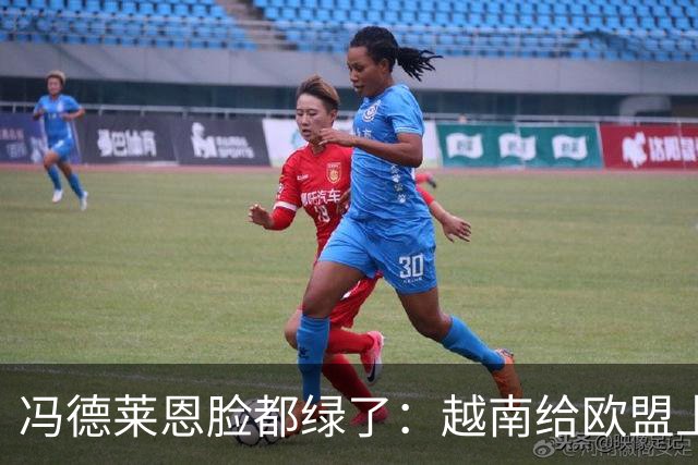 冯德莱恩脸都绿了：越南给欧盟上了一课：什么叫 “中国力量”！