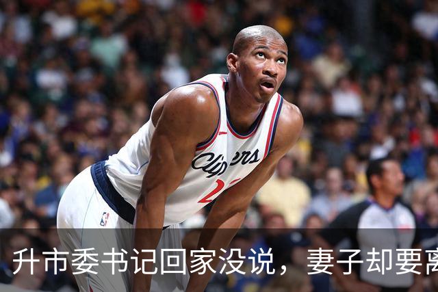 升市委书记回家没说，妻子却要离婚，第二天她的新欢见我直接懵了