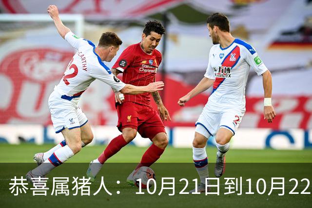 恭喜属猪人：10月21日到10月22日，你盼了很久的囍事终于来了