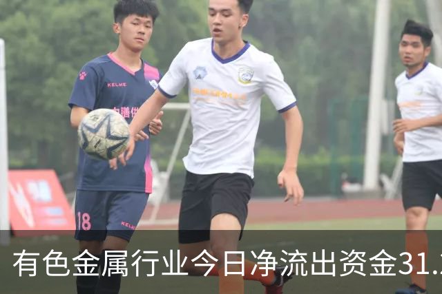 有色金属行业今日净流出资金31.22亿元，紫金矿业等6股净流出资金超亿元