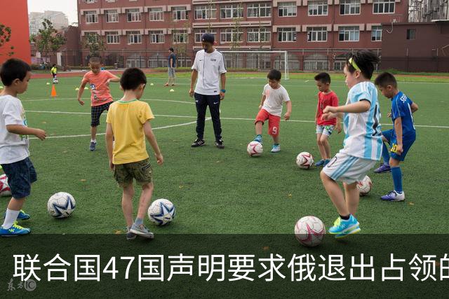 联合国47国声明要求俄退出占领的乌所有土地