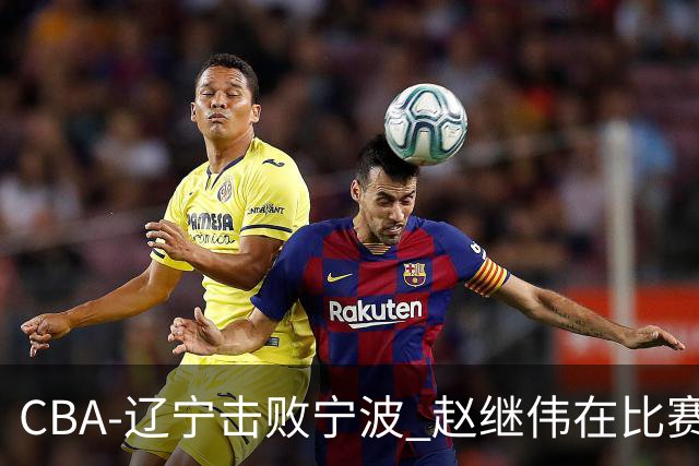 CBA-辽宁击败宁波 赵继伟在比赛中